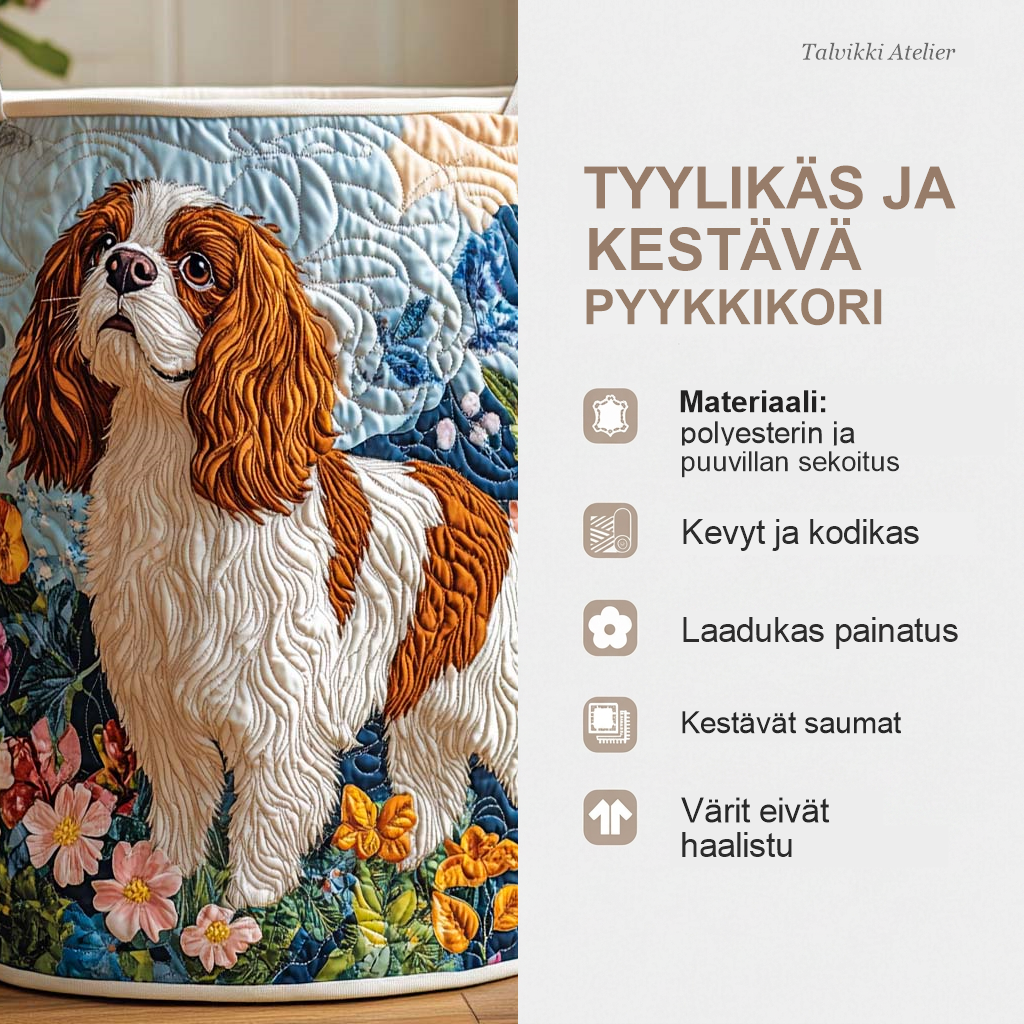 Pyykkikorin ominaisuudet
